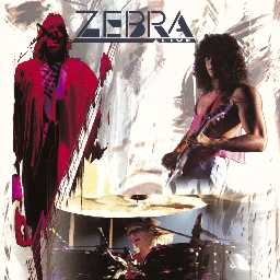 Zebra - Live cover