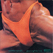 Butthole Surfers - Rembrandt Pussyhorse cover