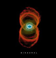 Pearl Jam - Binaural cover