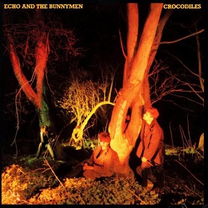 Echo & The Bunnymen - Crocodiles cover