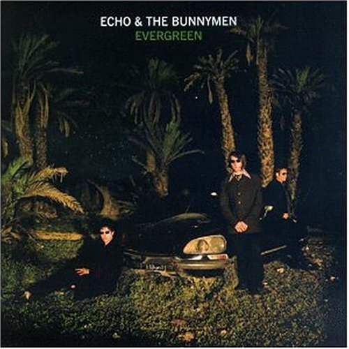Echo & The Bunnymen - Evergreen cover