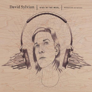 Sylvian, David - Died In The Wool: Manafon Variations cover