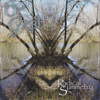 UT Gret - Radical Symmetry  cover