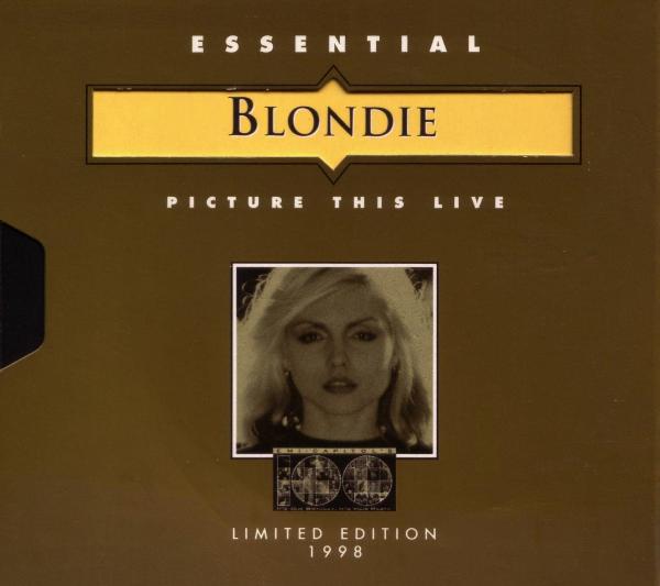 Blondie - Picture this live cover