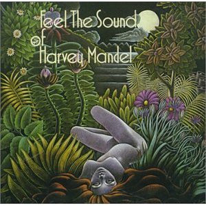 Mandel, Harvey - Feel the Sound of Harvey Mandel cover