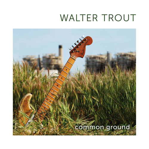 Trout, Walter - Common Ground cover