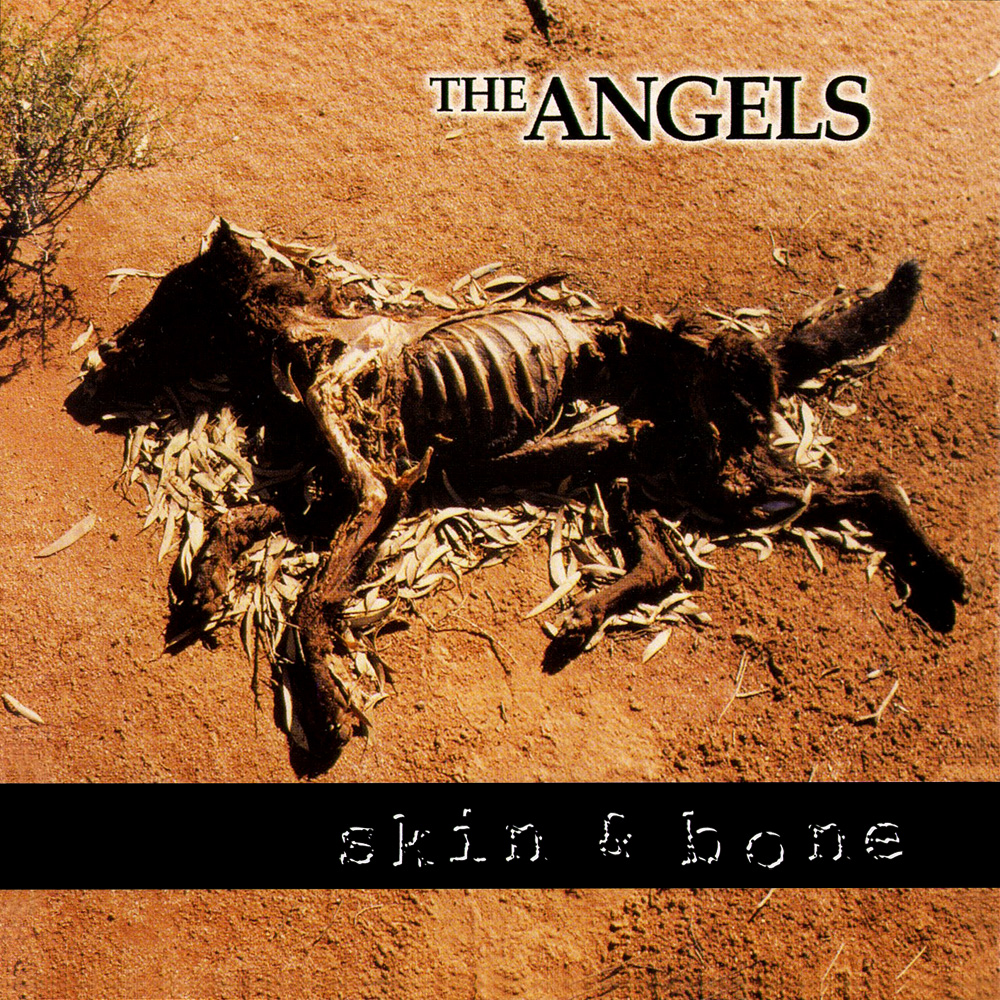 Angels, The - Skin & Bone cover