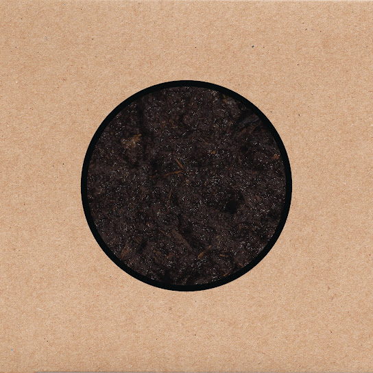 Swans - Birthing cover