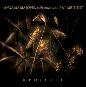 Metheny, Pat - Upojenie (with Anna Maria Jopek) cover