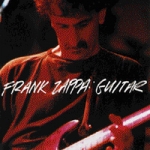 Zappa, Frank - Guitar cover