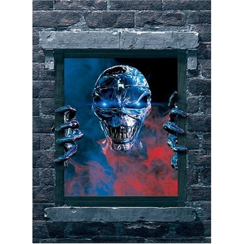 Iron Maiden - Visions of the Beast  DVD cover