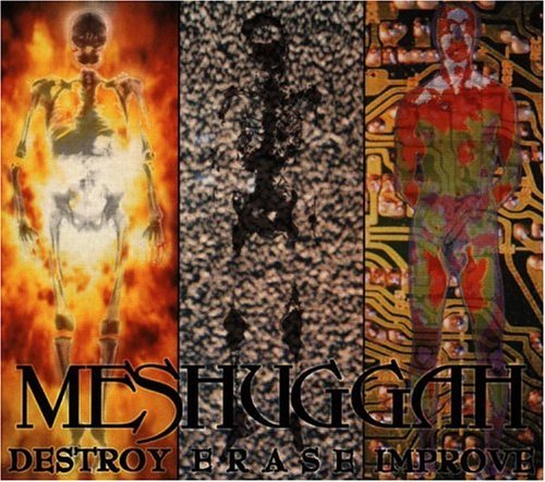 Meshuggah - Destroy Erase Improve cover