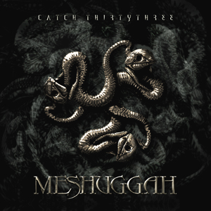 Meshuggah - Catch Thirtythree cover