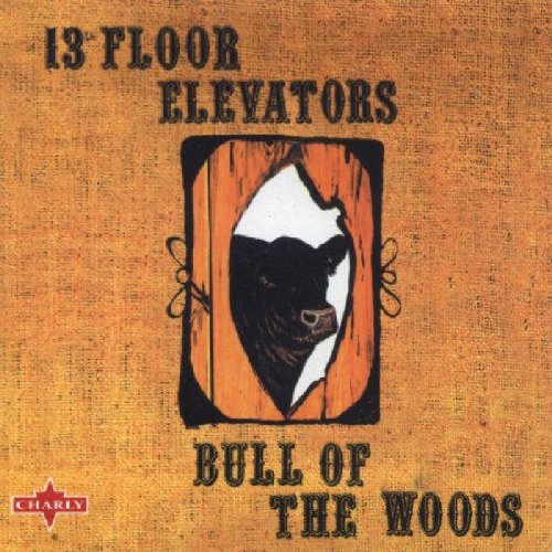 13th Floor Elevators - Bull of the Woods cover