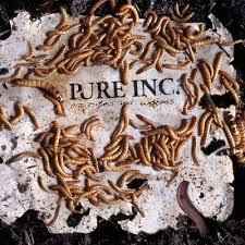 Pure Inc. - Parasites & Worms cover