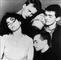 Sugarcubes, The photo