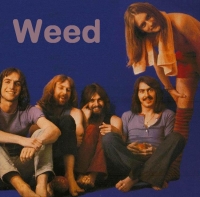 Weed photo